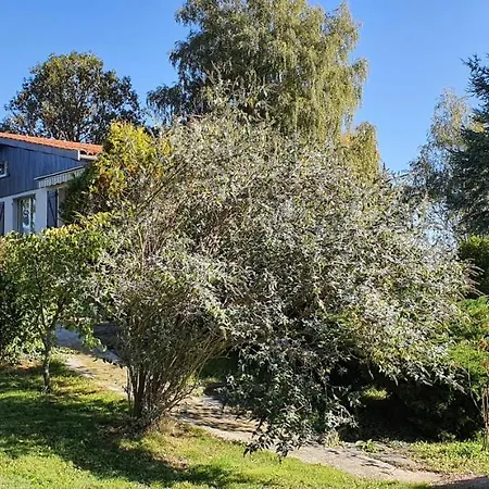 Vakantiehuis Le De Brassac Brassac (Ariege)