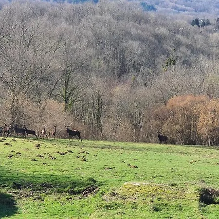 Le De Brassac Vakantiehuis