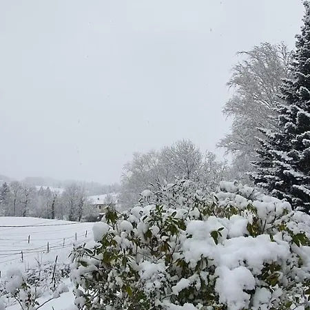 Le De Brassac
