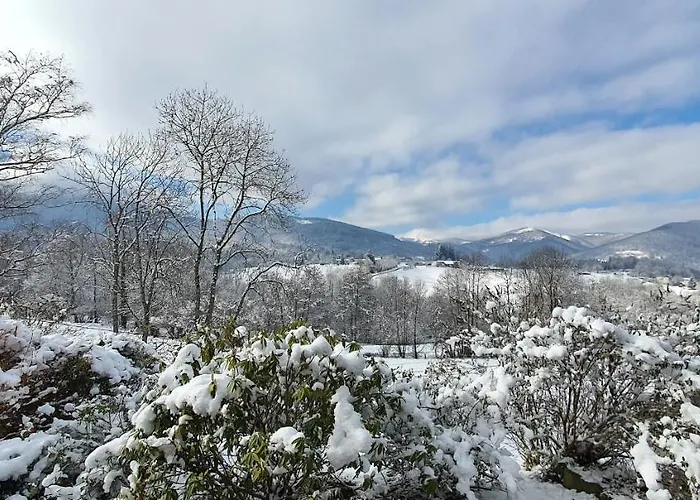 Feriehus Le De Brassac