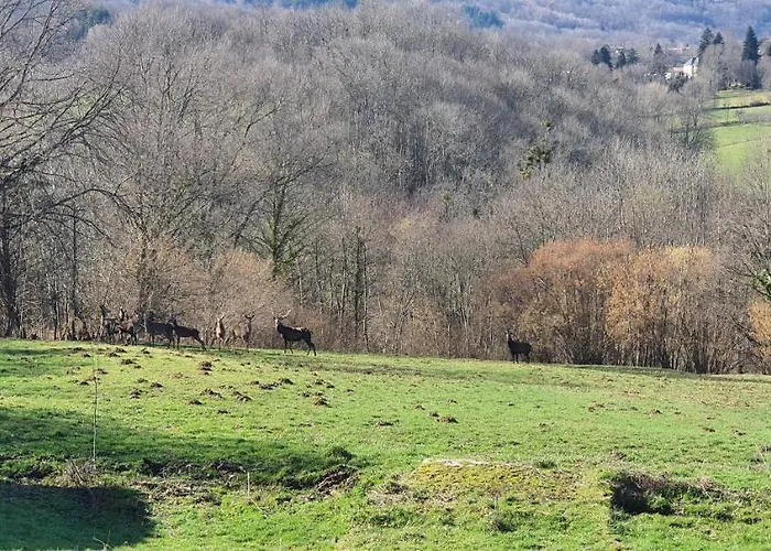Le De Brassac Feriehus